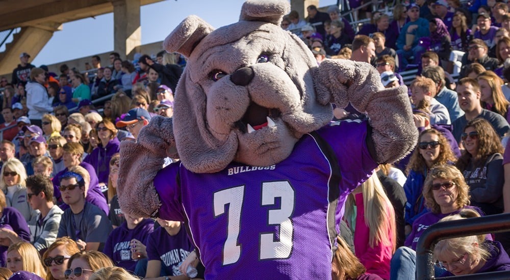 Spike - Bulldog mascot