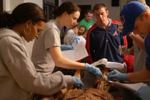 Human Anatomy Lab