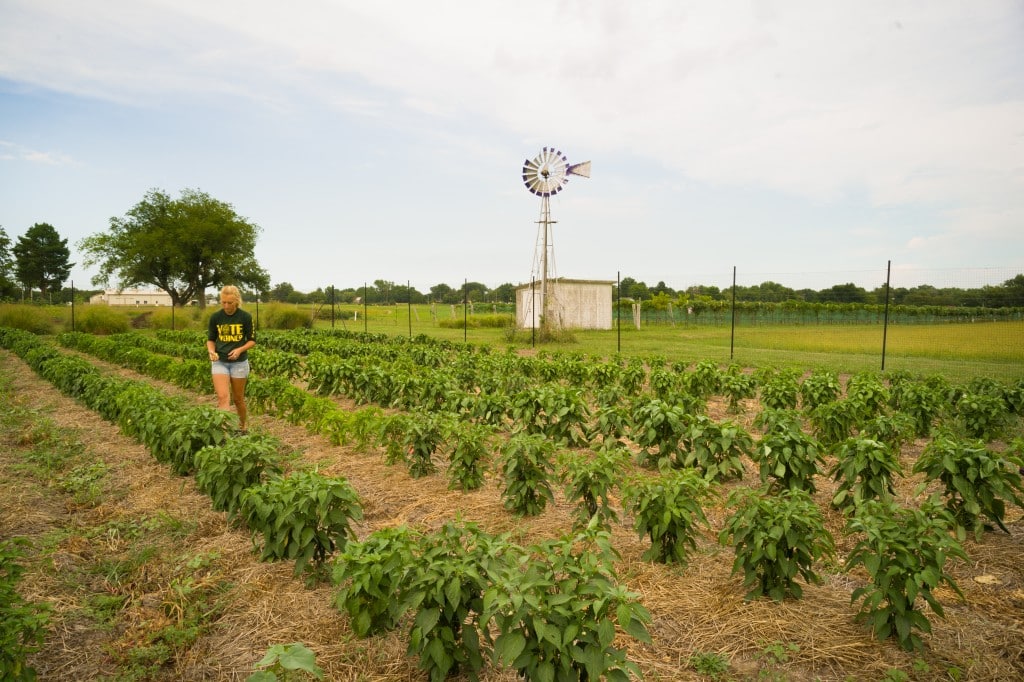 Thousand Hills Farm