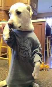 Spirit Day Photo Contest Winner Spike's Furry Friends