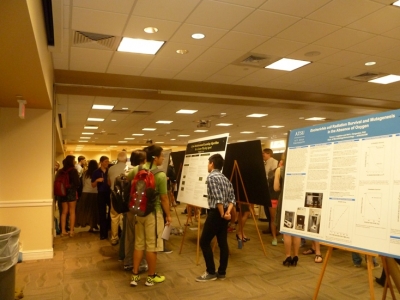Student Research Conference