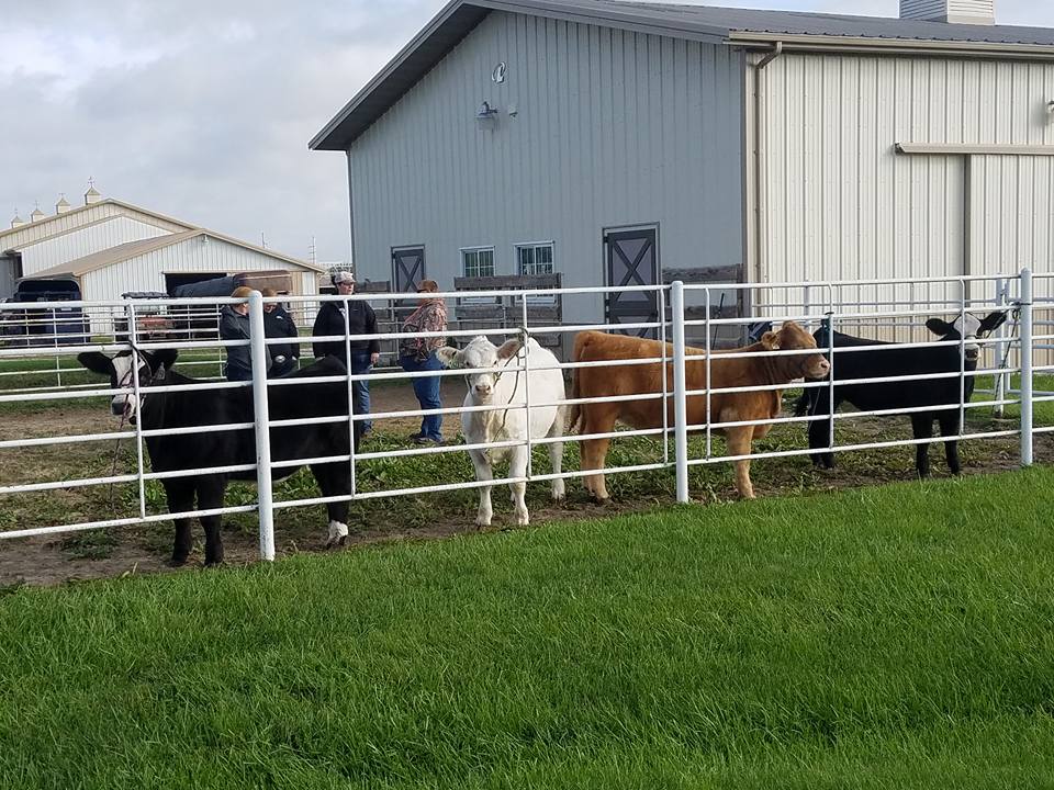 Thousand Hills Farm