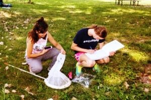 Students conducting insect research