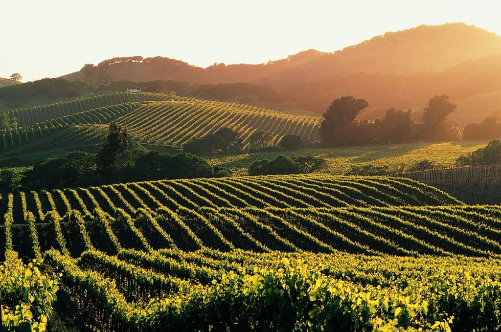 Truman Alumni Travel Program - California Rails