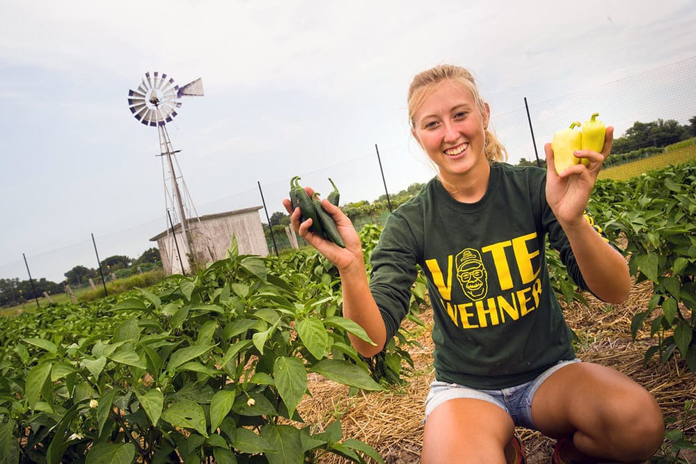 University-Farm---windmill-peppers_w