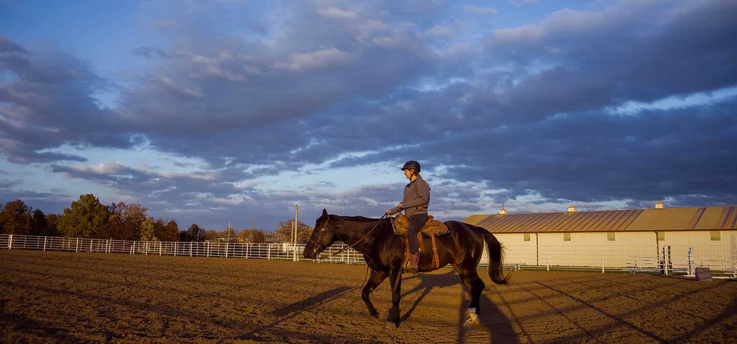 H2-UniversityFarm6Nov2019 (158 of 357)