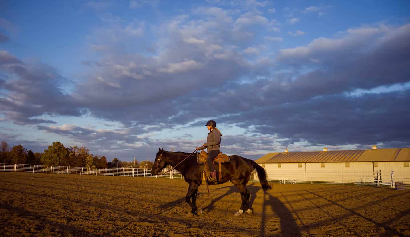 H1-UniversityFarm6Nov2019-157-of-357-scaled