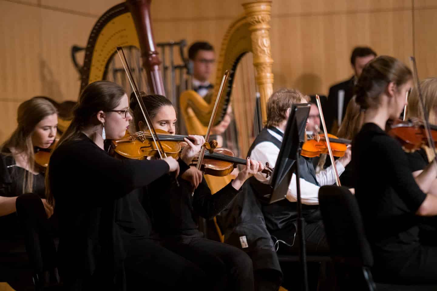 5-strings-harps