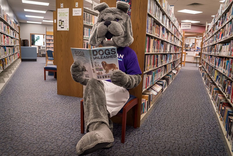 Spike reading a book in the library