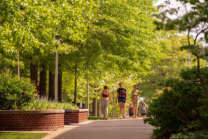 Three students walking down a tree-lined sidewalk